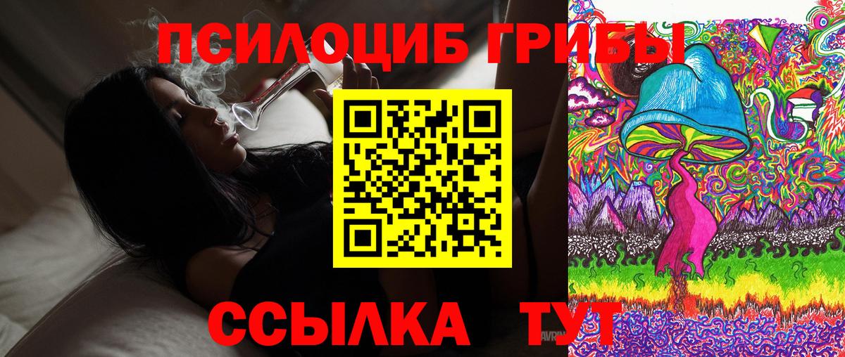 Галлюциногенные грибы Psilocybine cubensis Новотроицк