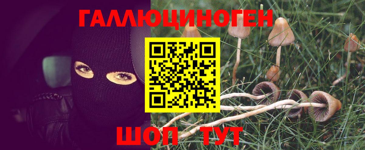 Новотроицк  Галлюциногенные грибы мицелий  Псилоцибиновые грибы MAGIC MUSHROOMS  Вход с VPN 